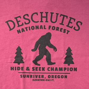 Hide and Seek Champion