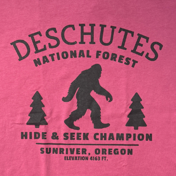 Hide and Seek Champion