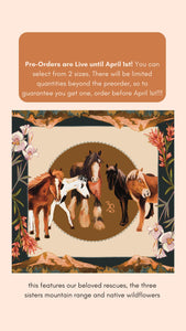 Wild Rag featuring 3 Sisters horses